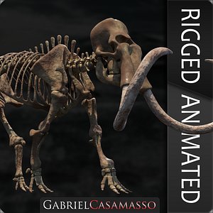 3D model complete mammoth skeleton animate