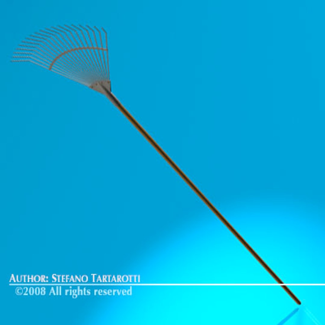 rake tool 3d model
