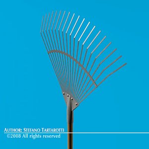 3d model of rake