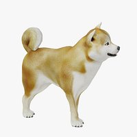 Fully Rigged Animated Realistic Shiba Inu Dog