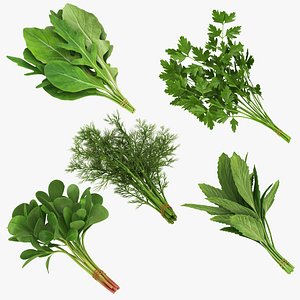 Herb and Green Bunchs 5 in 1
