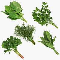 Herb and Green Bunchs 5 in 1