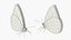 Fourrure de la femelle du papillon blanc du chou