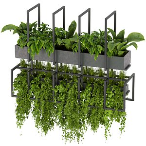 Collection plant vol 311- Indoor - ampelous - hanging - cinema 4d - 3dmax - blender 3D