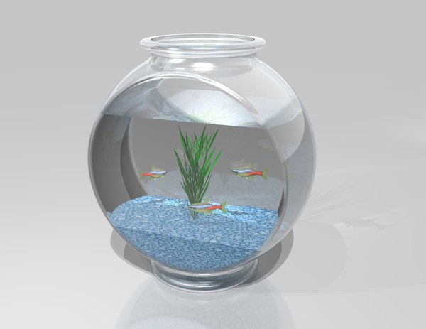 Aquarium bowl 3D model