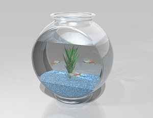 fish bowl