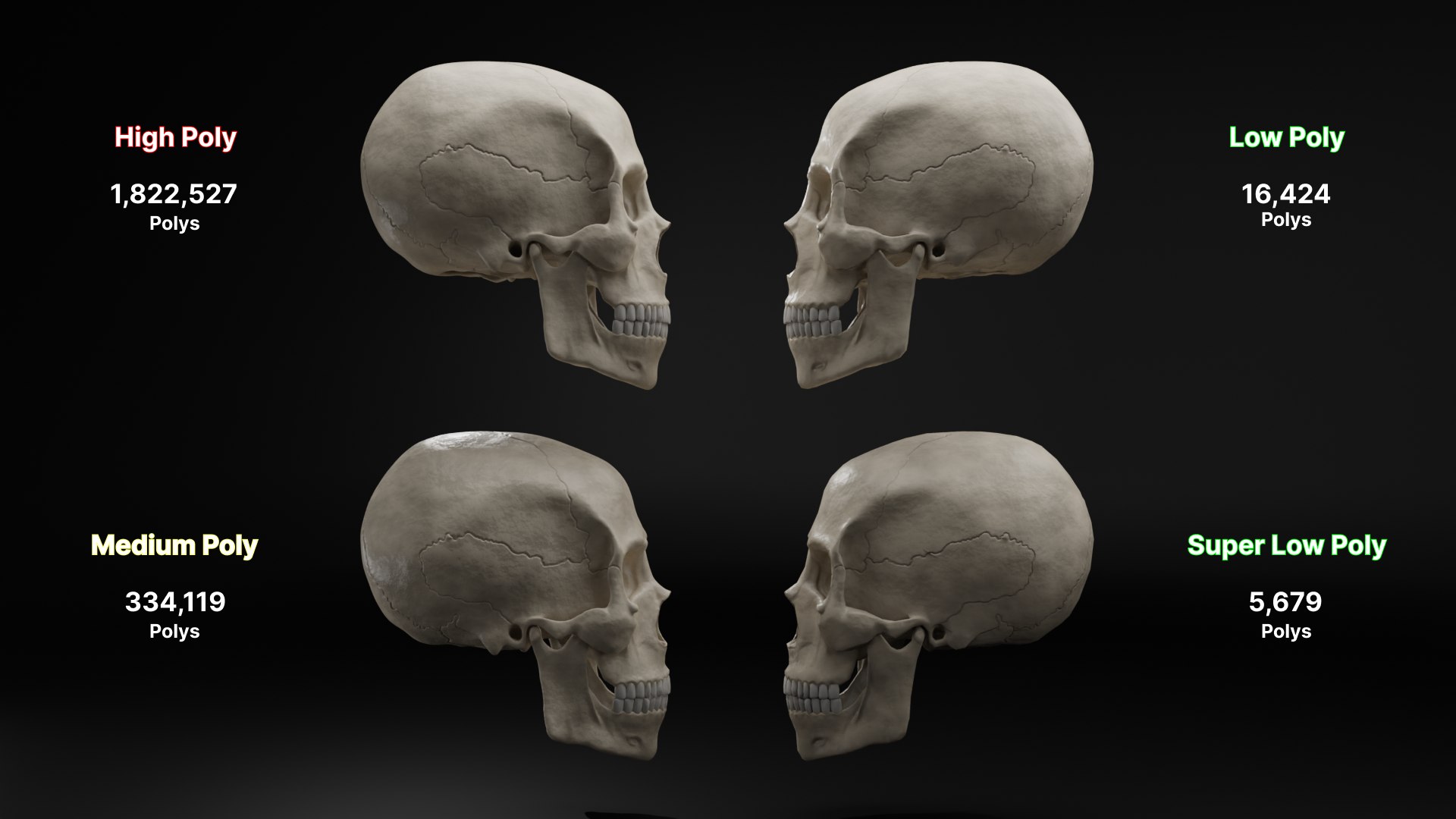 Realistic Human Skull High Poly And Low Poly Versions Model ...