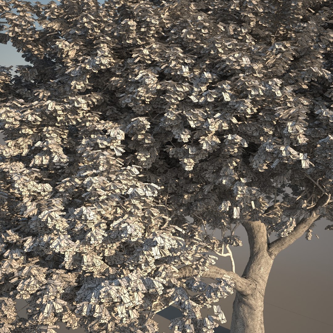 3d Small Tree