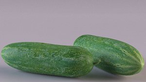 cucumber vegetable food 3D model