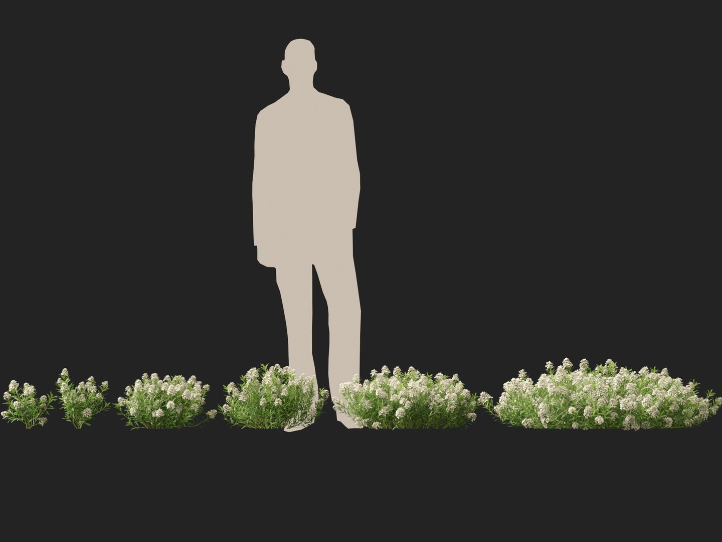 3D model HighPolyLowPoly Iberis sempervirens - candytuft https://p.turbosquid.com/ts-thumb/um/JpwkcC/Jv/iberissempervirens012/jpg/1737775654/1920x1080/fit_q87/1f787253ef235554ae31eebd26de8d3fc1e1f4ff/iberissempervirens012.jpg