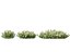 HighPolyLowPoly Iberis sempervirens - кэндитуфт