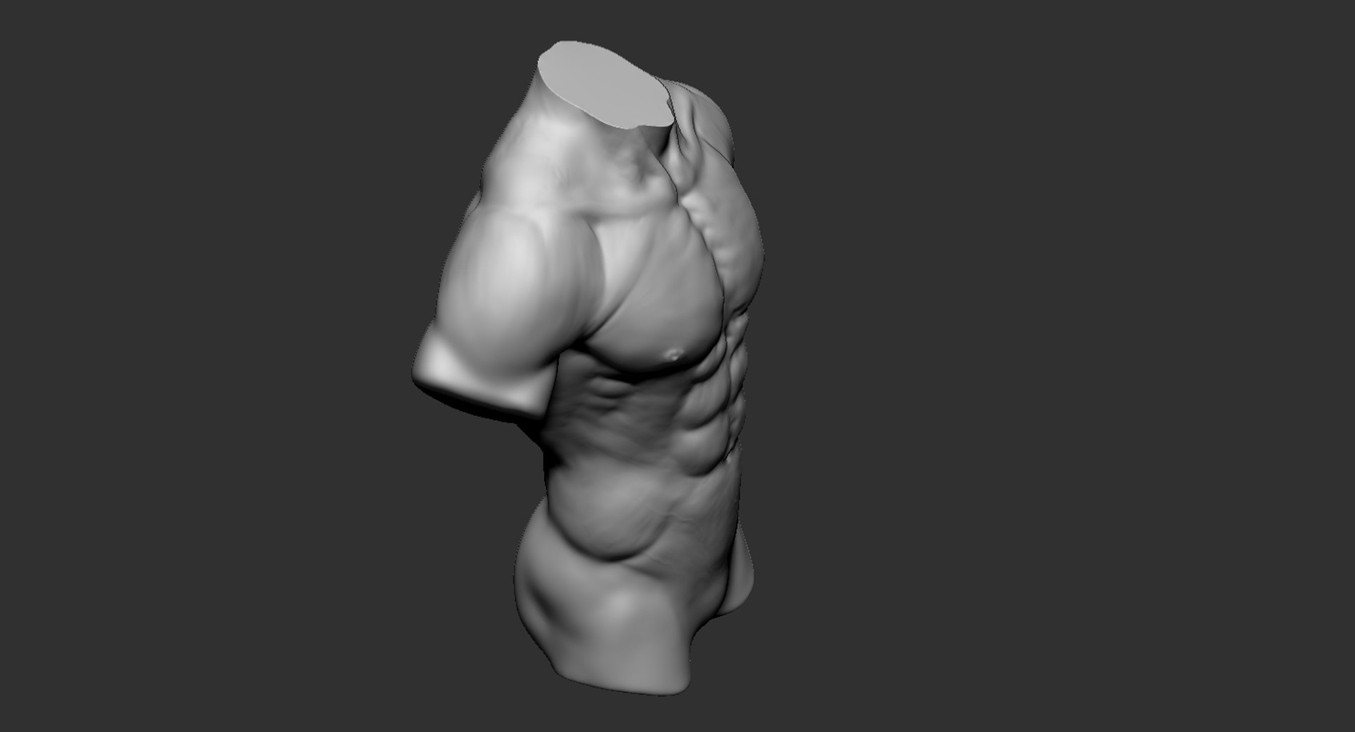 Human muscular torso 2019 model - TurboSquid 1440051
