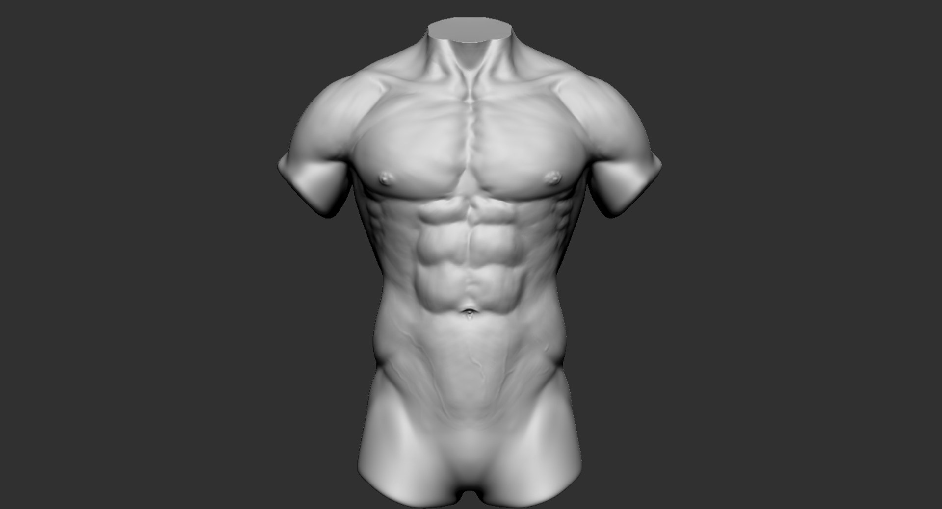 Human muscular torso 2019 model - TurboSquid 1440051