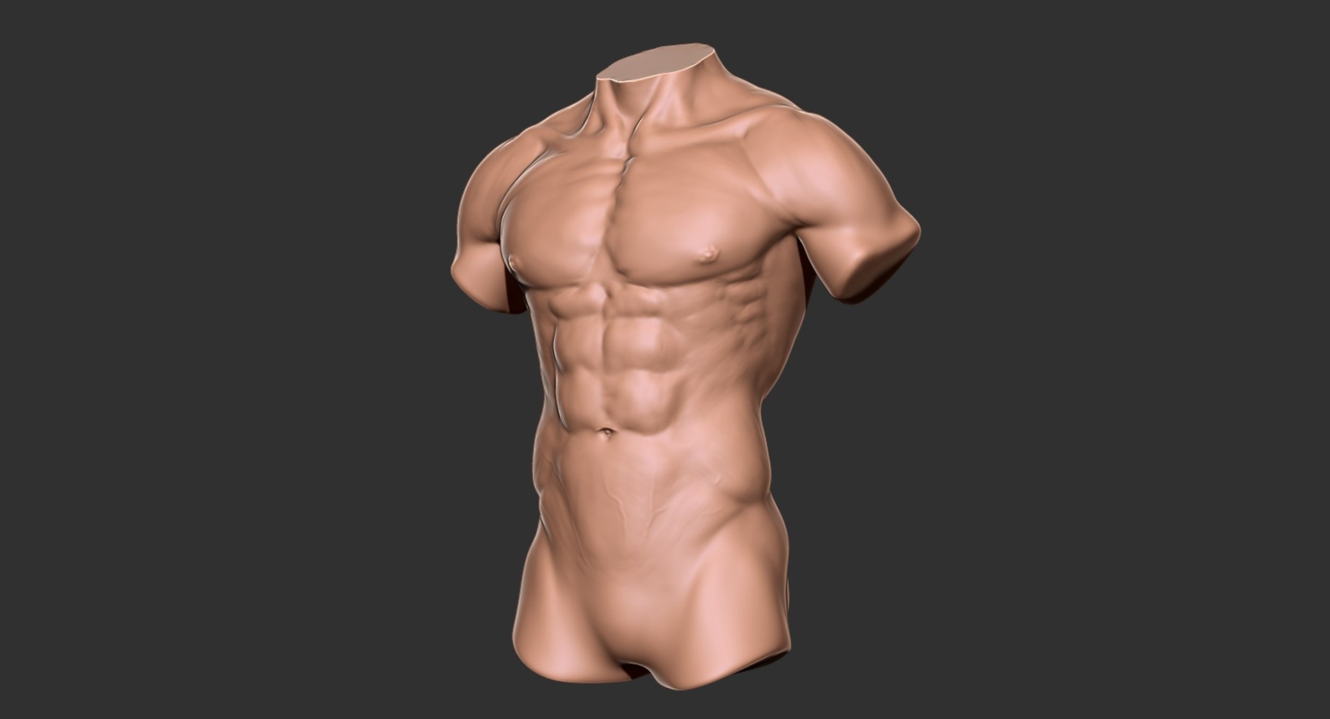 Human muscular torso 2019 model - TurboSquid 1440051