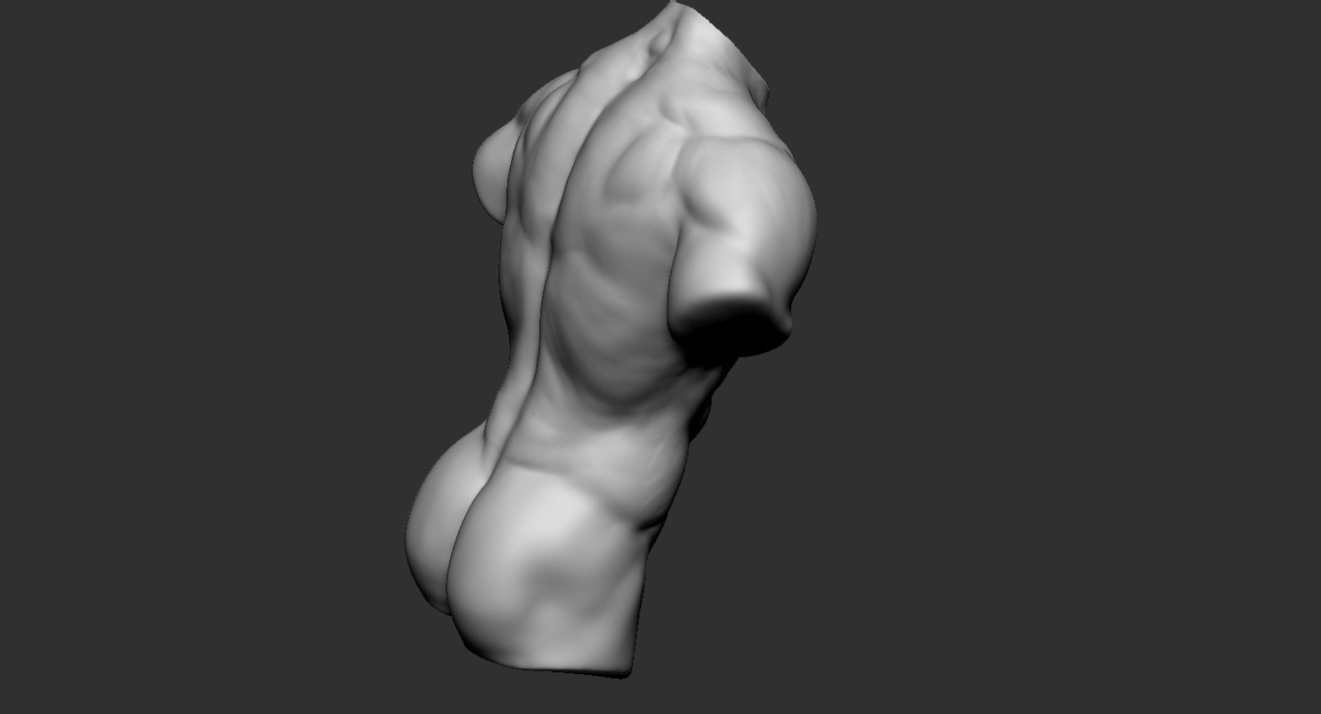 Human muscular torso 2019 model - TurboSquid 1440051