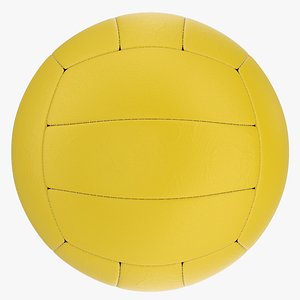 3D Volleyball Yellow model