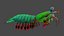 Mantis shrimp 3D model