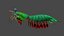 Mantis shrimp 3D model
