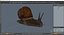 Garden Snail Dark Color 3D