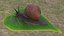 Garden Snail Dark Color 3D