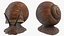 Garden Snail Dark Color 3D