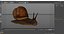 Garden Snail Dark Color 3D
