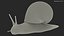 Garden Snail Dark Color 3D