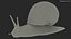 Garden Snail Dark Color 3D