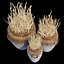 Argetile Rustic Planter