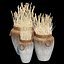Argetile Rustic Planter
