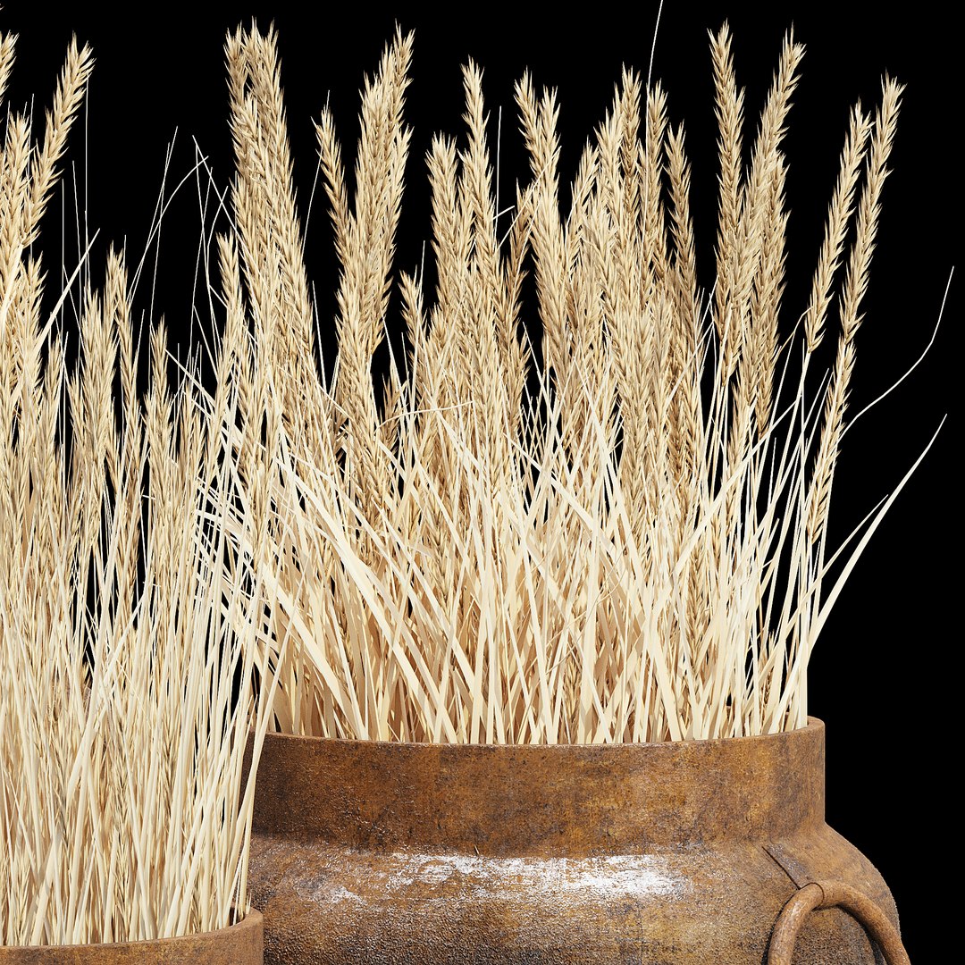 3D model argetile rustic planters https://p.turbosquid.com/ts-thumb/un/7BYCyS/hTAkoOLQ/dtree_6/jpg/1585899036/1920x1080/fit_q87/b6f61f58ba257ea0d5921944a728cd2a2e08696a/dtree_6.jpg