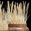 Argetile Rustic Planter