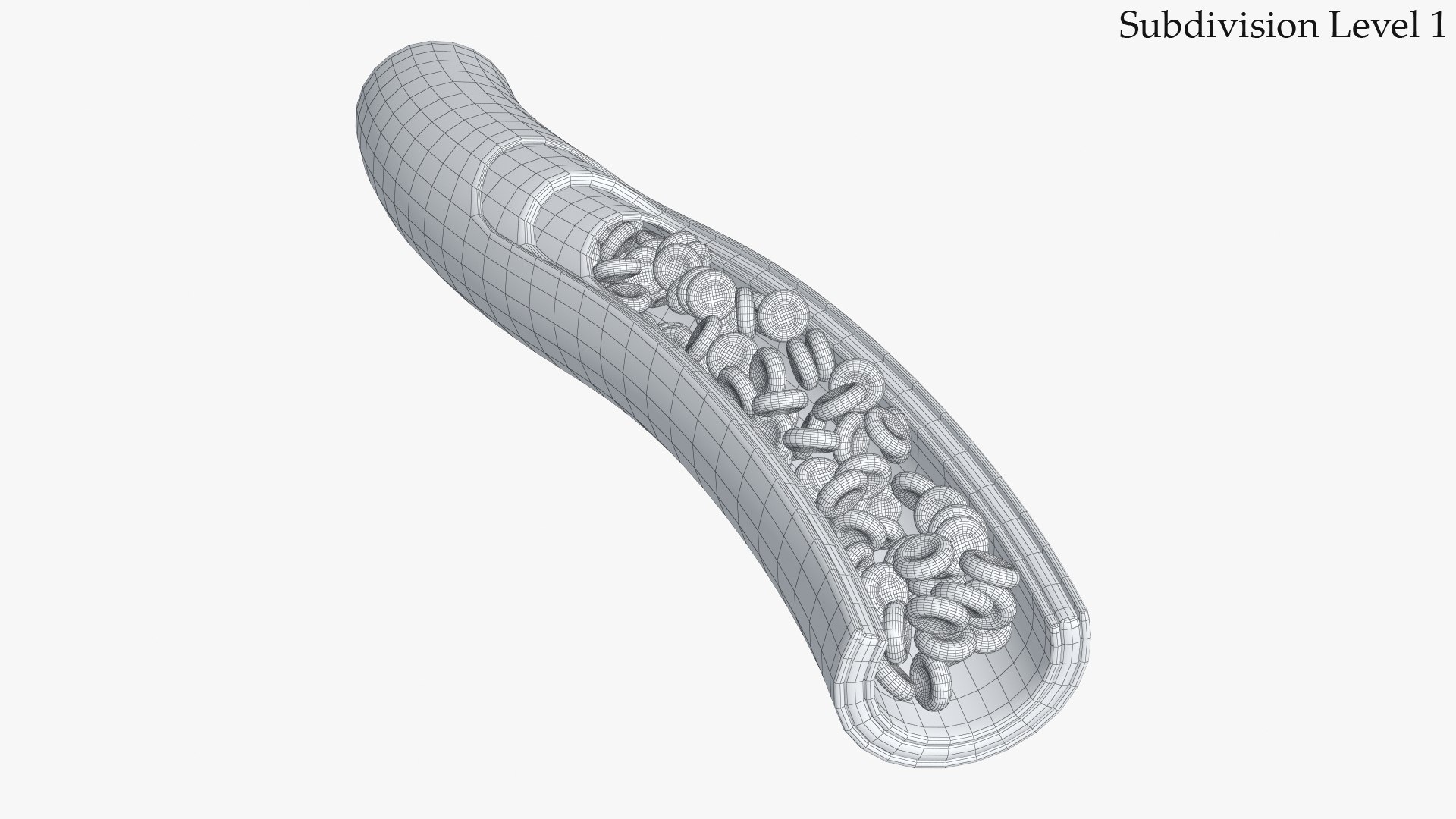 3D model blood vessel section https://p.turbosquid.com/ts-thumb/un/Bu1H2e/uaYl67d9/2_wire_bloodvesselinsection_camera001_sds1/jpg/1580340145/1920x1080/fit_q87/379680ce33cf8d0960eb409b28e9c8e297839fbe/2_wire_bloodvesselinsection_camera001_sds1.jpg