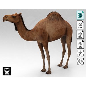 Camel - Rigged - Animated