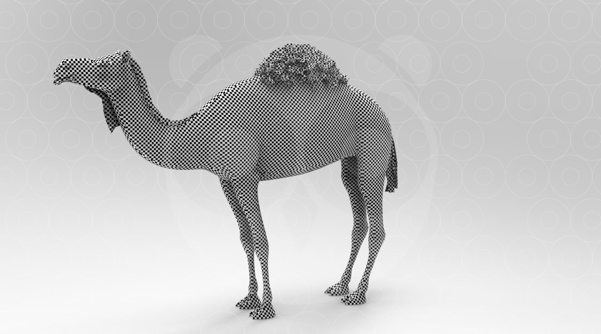 Camel - Animated 3D https://p.turbosquid.com/ts-thumb/un/ELXkYb/Ps/untitled.297/jpg/1693568082/1920x1080/fit_q87/001df5e2456f3c2f9338030ec60b4b982cc05ca6/untitled.297.jpg