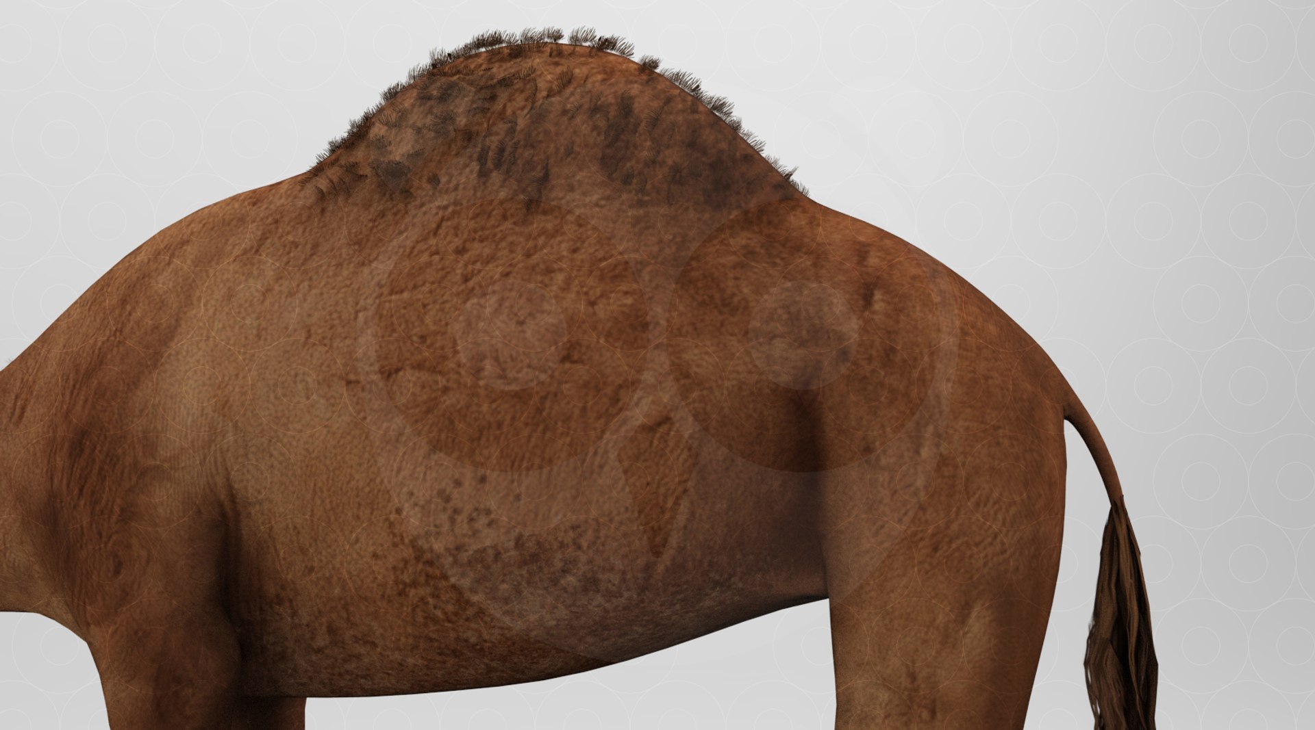 Camel - Animated 3D https://p.turbosquid.com/ts-thumb/un/ELXkYb/wF/untitled.296/jpg/1693568085/1920x1080/fit_q87/3ce60dfb5af1ab5b354d6105bd81b9fb98a4ccd1/untitled.296.jpg