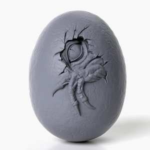 egg model
