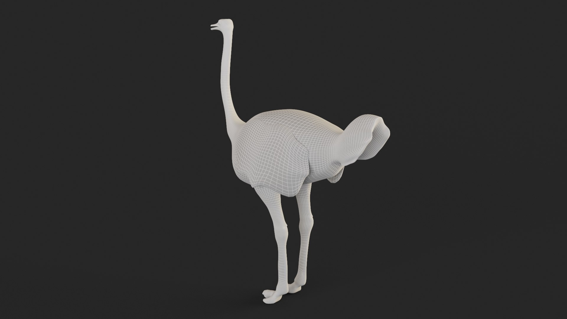 3D realistic ostrich model - TurboSquid 1705495