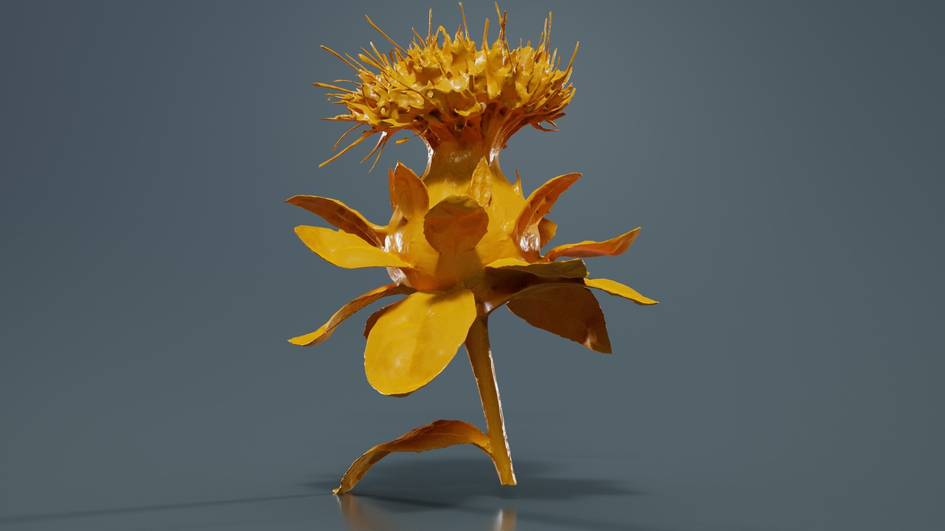 Safflower Carthamus Tinctorius Remastered model https://p.turbosquid.com/ts-thumb/un/dQpaAG/2e/safflower_carthamus_tinctorius_13/jpg/1740378505/1920x1080/fit_q87/8ded6010191efe69985aaf59dce9afb60d6957e8/safflower_carthamus_tinctorius_13.jpg