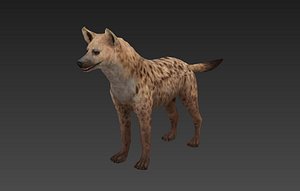 3D model hyaenidae