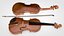 Violin
