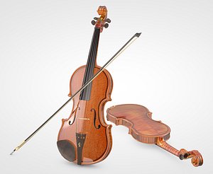 3d violin