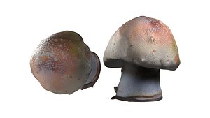 Mushroom 18 3D model