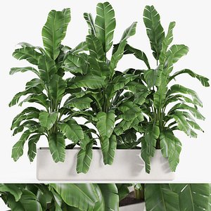 3D model Plants collection 960