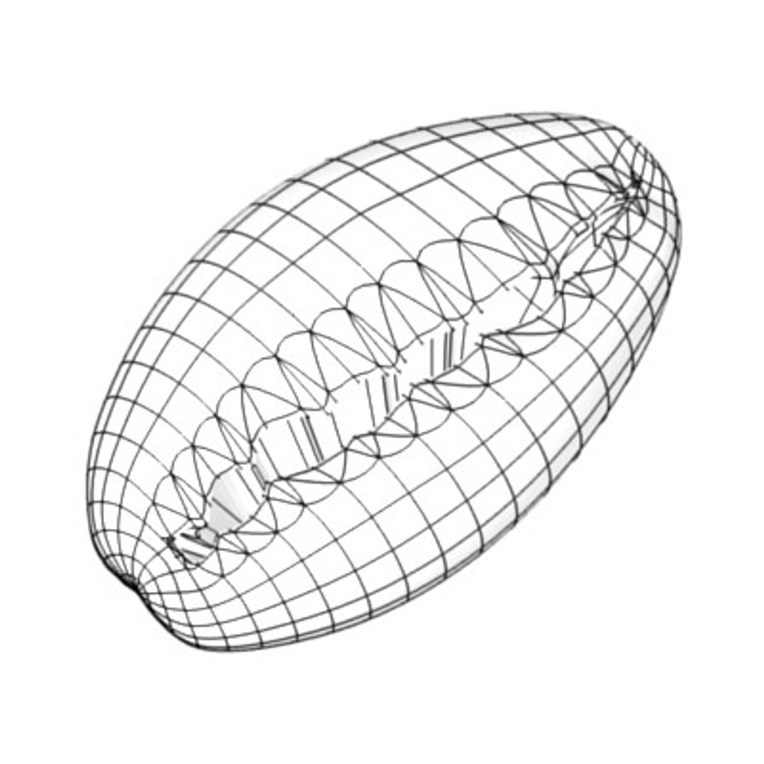 Sea Shell 3d Model
