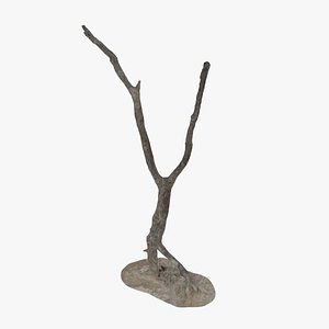 Namibian Dry Tree 03 - Scan 3D