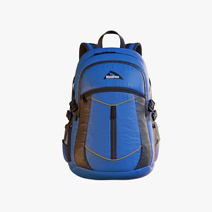Blue Color Nylon Sport Backpack 3D model
