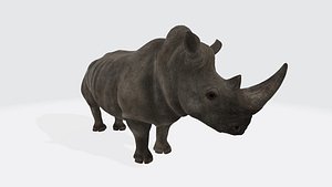 3D model Rhino Animal 3D Model Ready to Print