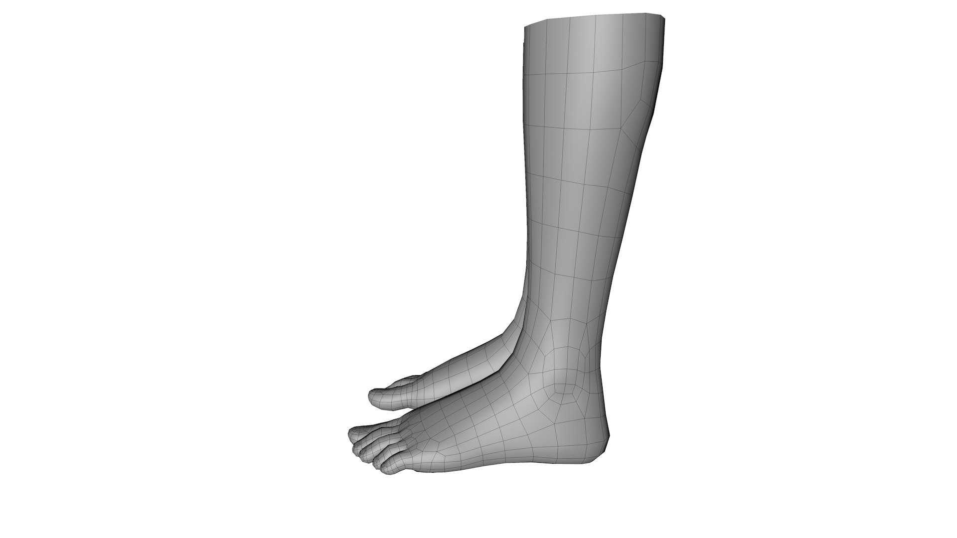Female Feet Rigged Dark Skin For Cinema 4D 3D Model - TurboSquid 2070612