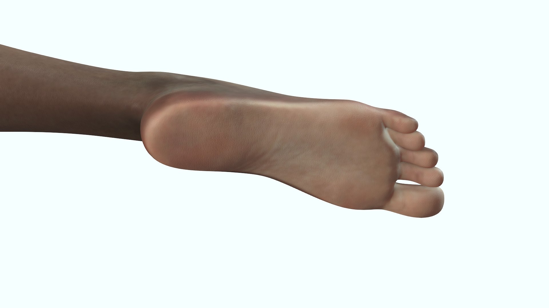 Female Feet Rigged Dark Skin For Cinema 4D 3D Model - TurboSquid 2070612